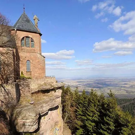 Terrasses Du Zimmerberg Barr Esterno foto