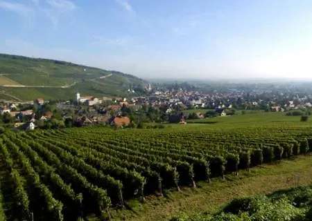 Terrasses Du Zimmerberg Barr Esterno foto