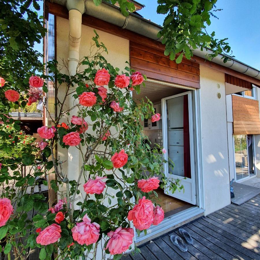 Apartamento Terrasses Du Zimmerberg